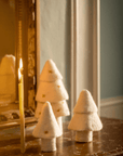 Sapin Blanc - Feutre